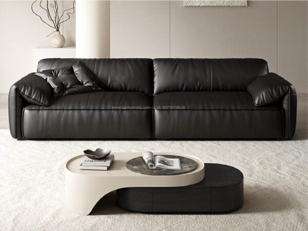 Sofa Băng Kantan Danin SB42 - Hình ảnh 4